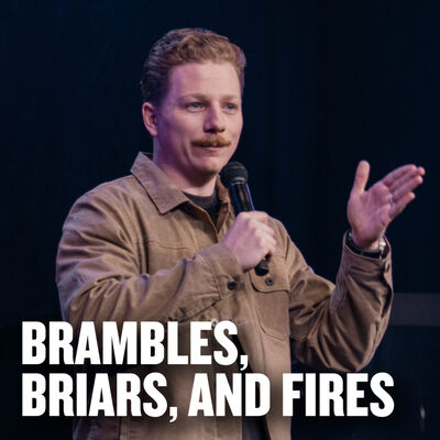 Brambles, Briars, and Fires