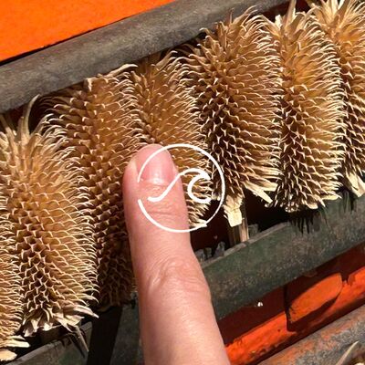 【随机波动】触屏时代的触觉饥渴