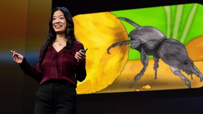 ¿Son los cerebros de los insectos la clave para una mejor IA? | Frances S. Chance