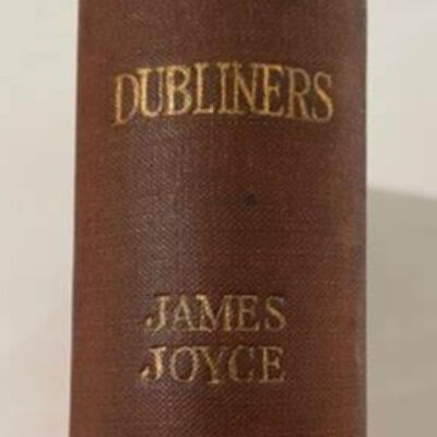 Dublineses