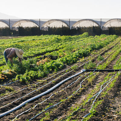 Who Owns U.S. Farmland?