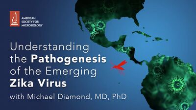 MWV 105 -  - Understanding the Pathogenesis of the Emerging Zika Virus (Audio Only)
