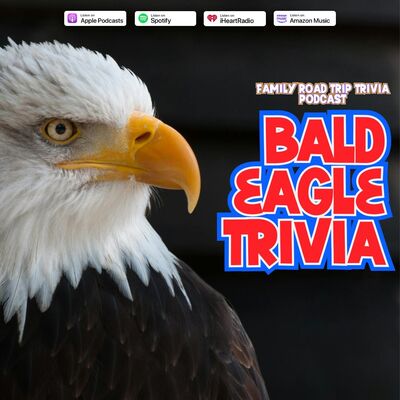 Bald Eagle Trivia - Episode 230
