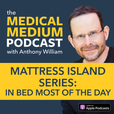 088 Mattress Island Series: In Bed Most Of The Day
