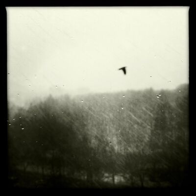 Episode 5 - Rain Cloak