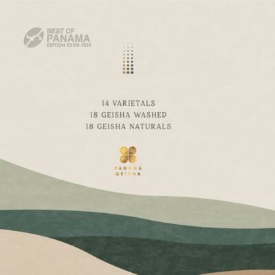 77 🇵🇦巴拿马咖啡逆袭传奇，谁在定义最昂贵的咖啡风味？ft.范典