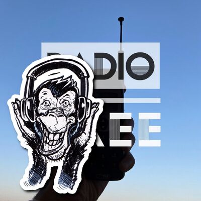 Radio RAEE