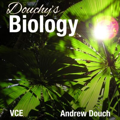 Episode 6: Photosynthesis