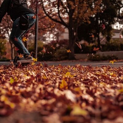 Il fotografo non si annoia mai