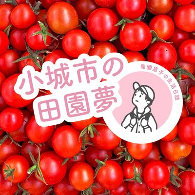 11 小城市的田園夢 （英語訪談）