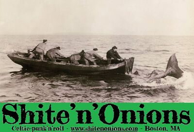 Shite'n'Onions best of 2016