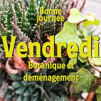 S02E05 - Vendredi : Botanique et déménagement
