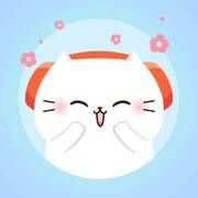 vol.29 划水是11月首周的灵魂