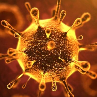 C di Coronavirus