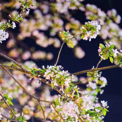 春日运动漫游｜坐在一起，聊聊不同视角的运动生活
