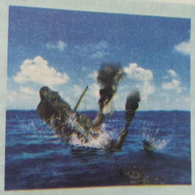 海底两万里 第二部分 第21章 大屠杀