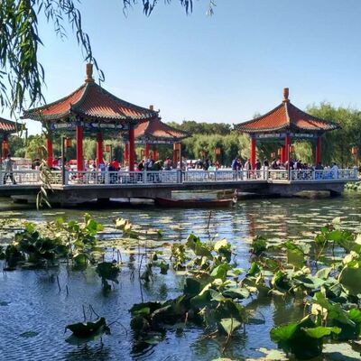 汇明赏析杨羽仪《水乡茶居》——品茗亦是品味生活 上集