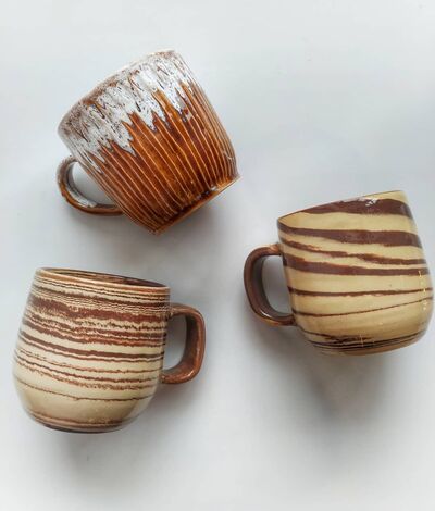 Ceramivirus & Thoughts on Teaching | Evgenii Pokidaev | Episode 1156