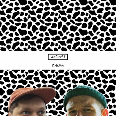 Welofi Show Demo Review (002)