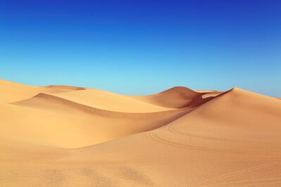 Sam And Sara Go To The Sahara Desert