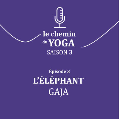 S3 E3 L'éléphant -Gaja asana