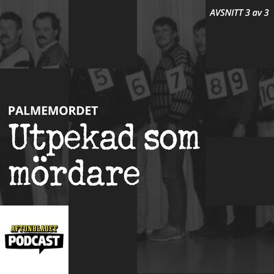 Palmemordet del 3: Utpekad som mördare