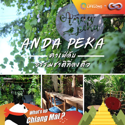 What's up Chiang Mai? 70: ANDA PEKA คาเฟ่ลับ & ธรรมชาติที่ลงตัว