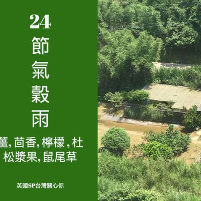 24 節氣與純質精油 榖雨