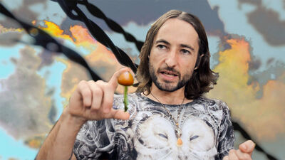 The Harsh Reality of PSILOCYBIN Mushroom Possession ft Daniel Whitham
