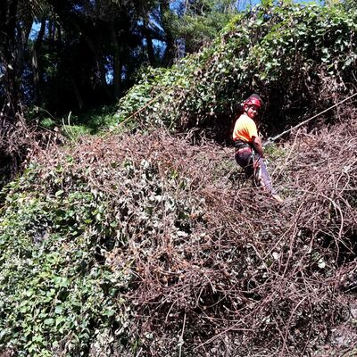 Snapshot - November 2018