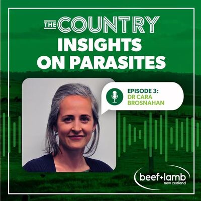 Insights on Parasites Ep.3 with Dr Cara Brosnahan