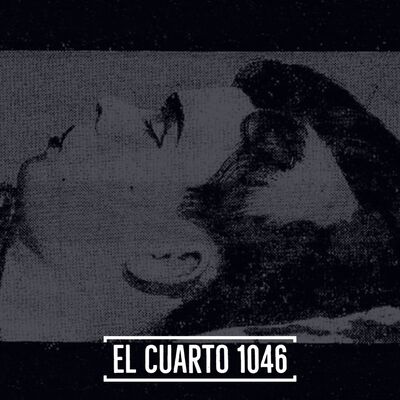 #115 El Cuarto 1046