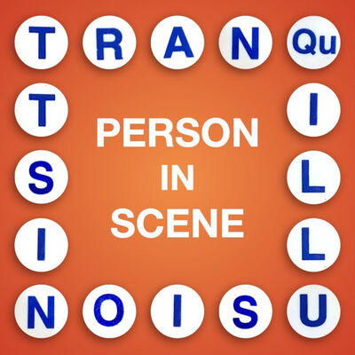 Tranquillusionist: Person In Scene