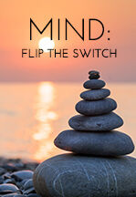 075 Mind Flip The Switch