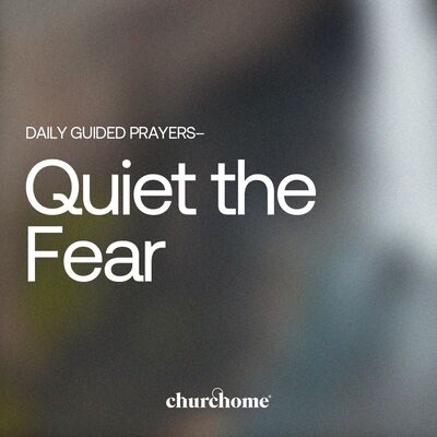 Quiet the Fear