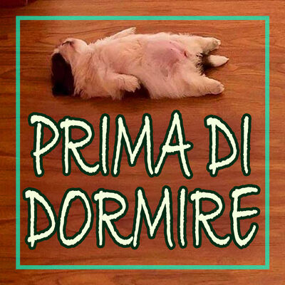 Cosa facciamo PRIMA di ADDORMENTARCI?