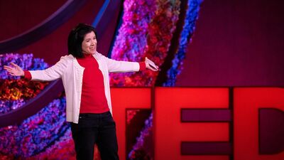 La creatividad y la comunidad detrás del fanfiction | Cecilia Aragon