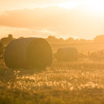 Tipping Point (4/5): Precious Soils and Seeds - Industrial agriculture and climate smart farming