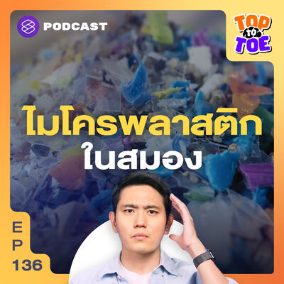 TTT136 ไมโครพลาสติกในสมองปริมาณเท่าช้อน 1 คัน มาจากไหน?
