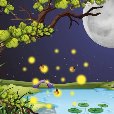 EP.95 一首詩〈夏夜〉/A Poem “Summer Night”