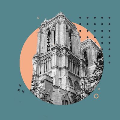 #26 - Indignazione selettiva