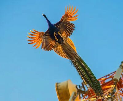 第五十二讲：成功的人生原来是这样规划的！