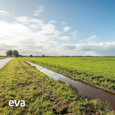 Meditatie in de weilanden