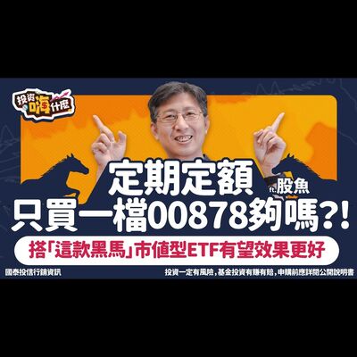 #定期定額 只買一檔 #00878 夠嗎？! 投資組合搭「這款黑馬」巿值型ETF 價格便宜好入手而且效果有機會更好！【股魚嗨什麼】EP137 ft.股魚《投資嗨什麼》