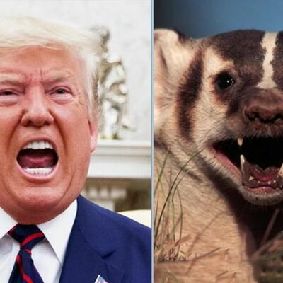 Episode 159 - Trump Badger Don't Care