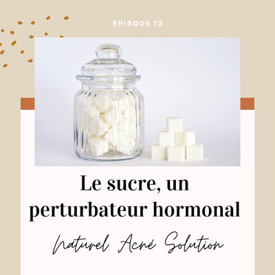 Episode 13 - Le sucre, un perturbateur hormonal