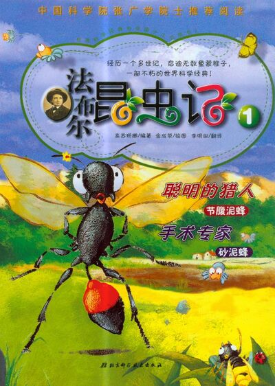 手术专家：砂泥蜂