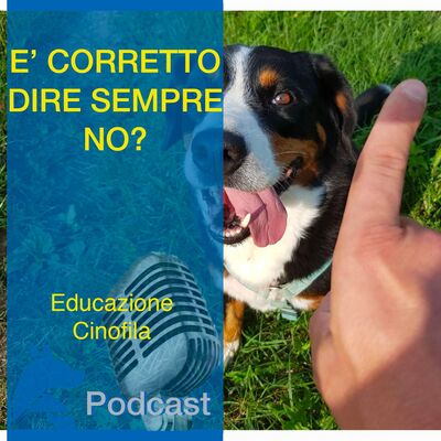 E' Corretto dire Sempre NO al Cane?
