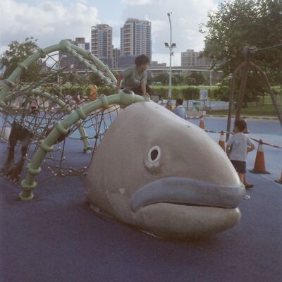 EP51 出社會你會興奮害怕緊張焦慮嗎