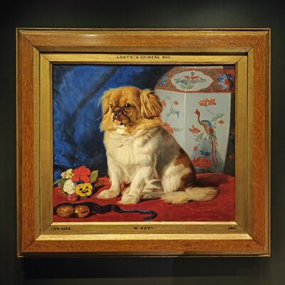  221. 大英博物馆串烧：晚清百态、女史箴图与埃及厅 